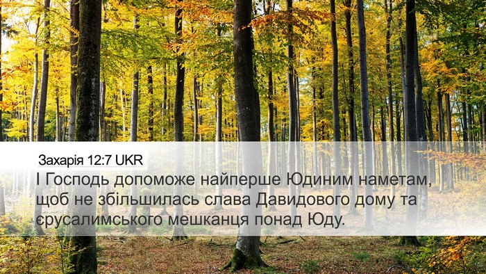 Захарія 12:7 UKR Bible Verse Image