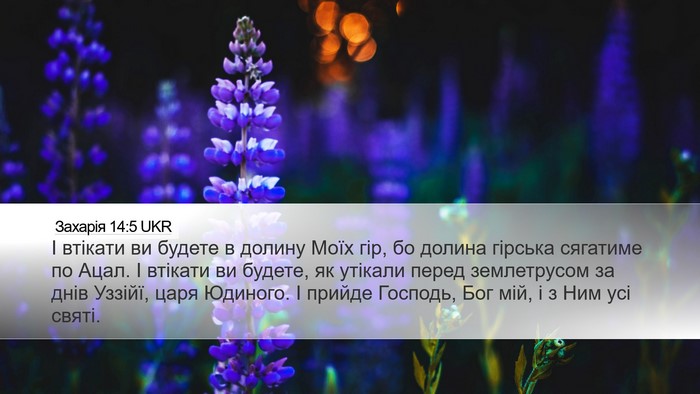 Захарія 14:5 UKR Bible Verse Image