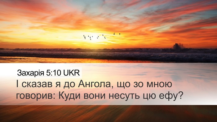 Захарія 5:10 UKR Bible Verse Image