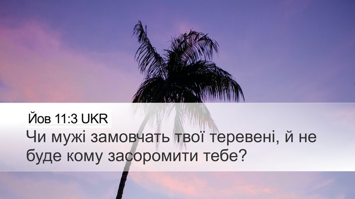 Йов 11:3 UKR Bible Verse Image