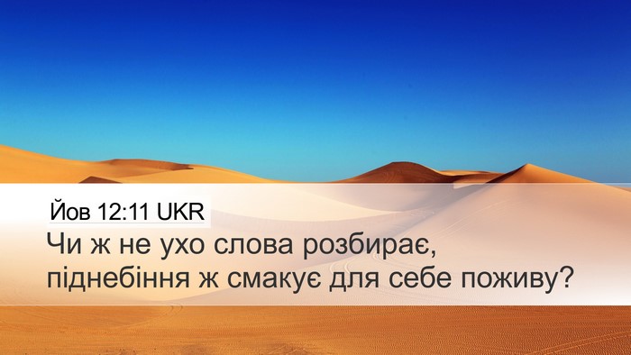 Йов 12:11 UKR Desktop Wallpaper - Чи ж не ухо слова розбирає, - Desktop Bible Verse Wallpaper