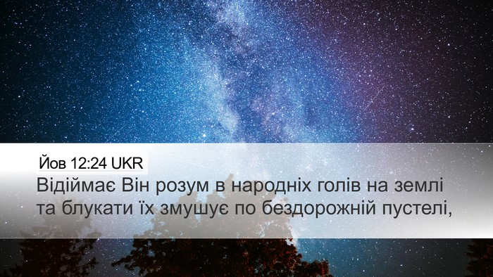 Йов 12:24 UKR Bible Verse Image