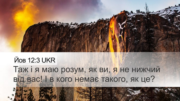 Йов 12:3 UKR Bible Verse Image