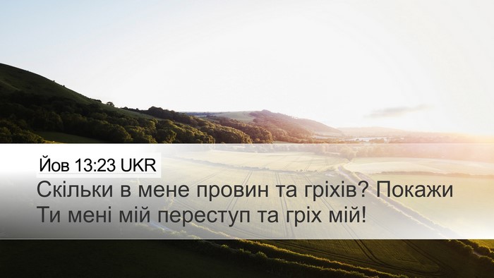 Йов 13:23 UKR Bible Verse Image