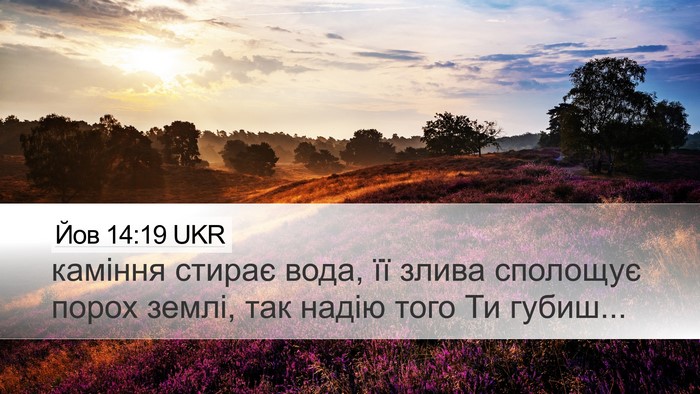 Йов 14:19 UKR Bible Verse Image