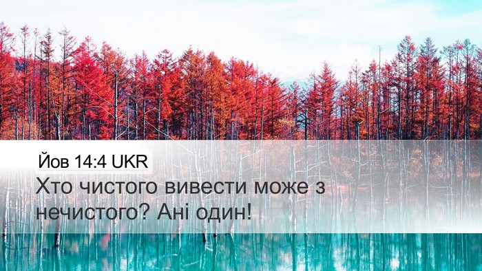 Йов 14:4 UKR Bible Verse Image