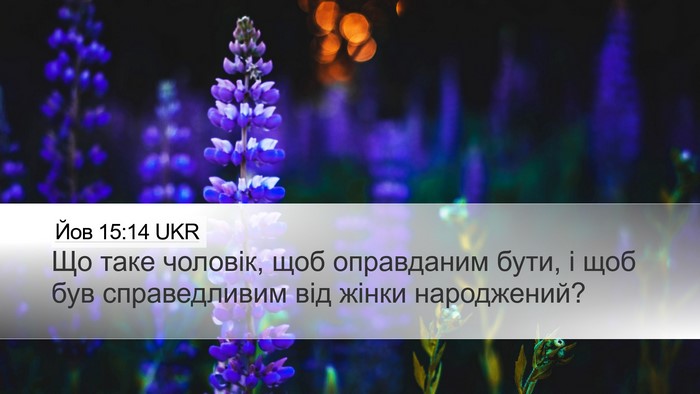 Йов 15:14 UKR Bible Verse Image
