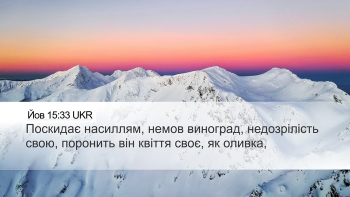 Йов 15:33 UKR Desktop Wallpaper - Поскидає насиллям, немов - Desktop Bible Verse Wallpaper