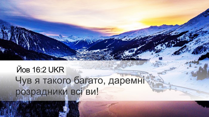 Йов 16:2 UKR Bible Verse Image