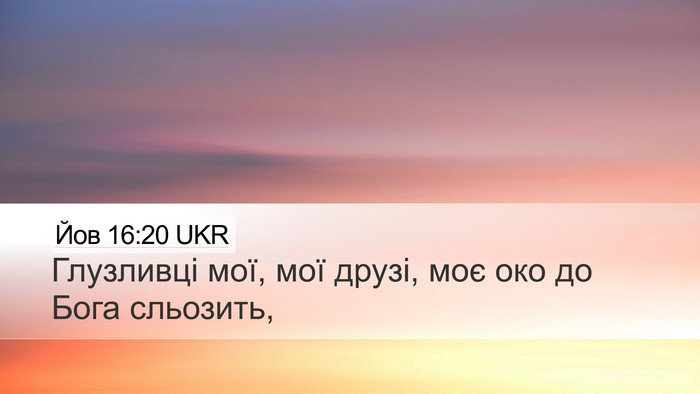 Йов 16:20 UKR Bible Verse Image
