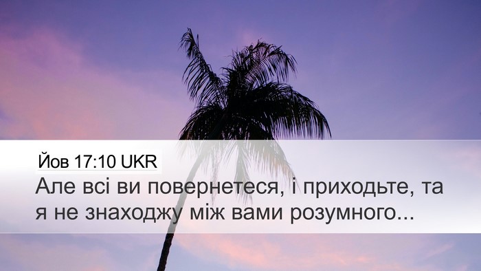 Йов 17:10 UKR Bible Verse Image