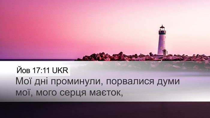 Йов 17:11 UKR Bible Verse Image