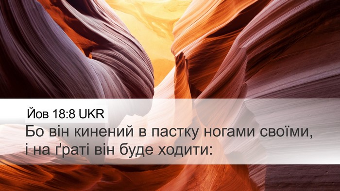 Йов 18:8 UKR Bible Verse Image