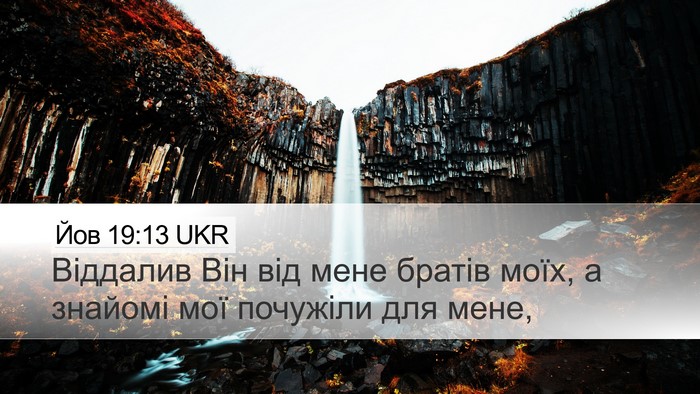 Йов 19:13 UKR Bible Verse Image