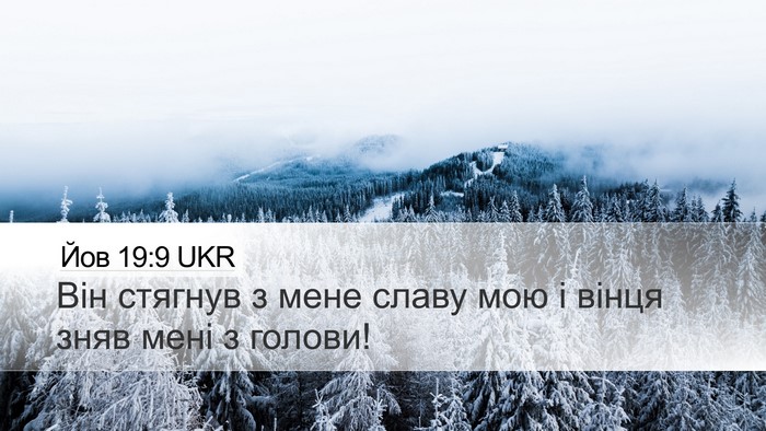 Йов 19:9 UKR Bible Verse Image