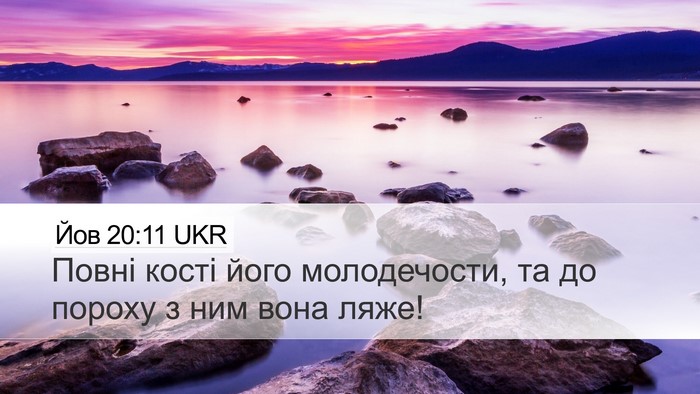 Йов 20:11 UKR Bible Verse Image