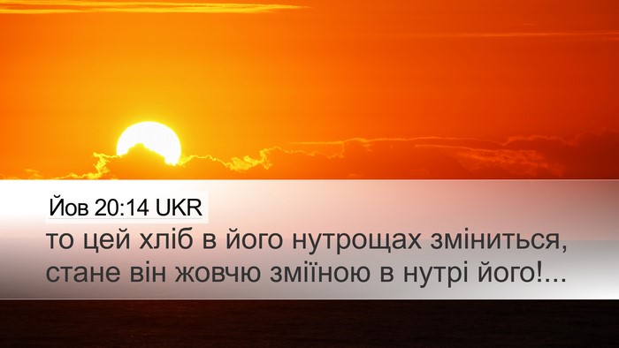 Йов 20:14 UKR Bible Verse Image