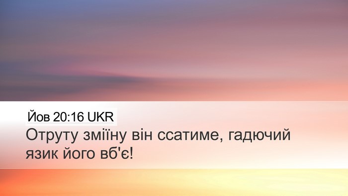 Йов 20:16 UKR Desktop Wallpaper - Отруту зміїну він ссатиме, - Desktop Bible Verse Wallpaper