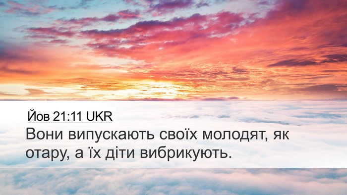 Йов 21:11 UKR Bible Verse Image