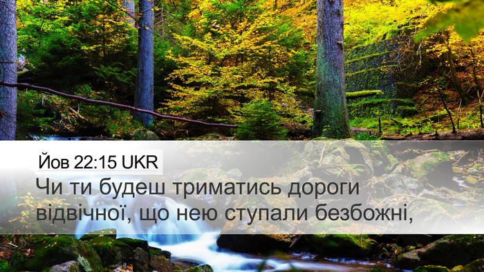 Йов 22:15 UKR Bible Verse Image