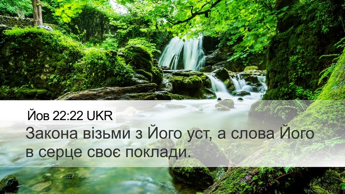 Йов 22:22 UKR Bible Verse Image