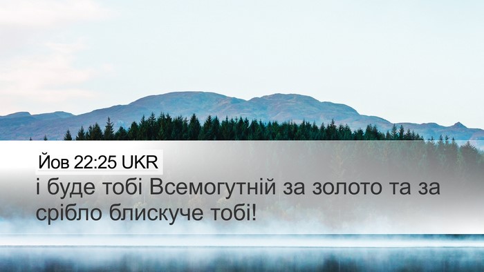 Йов 22:25 UKR Bible Verse Image