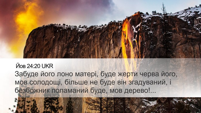 Йов 24:20 UKR Bible Verse Image