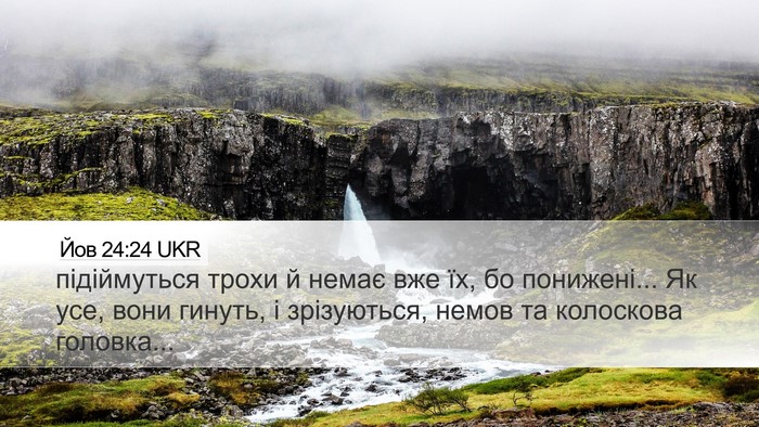Йов 24:24 UKR Bible Verse Image