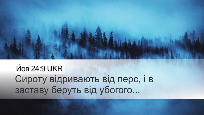 Йов 24:9 UKR Bible Verse Image