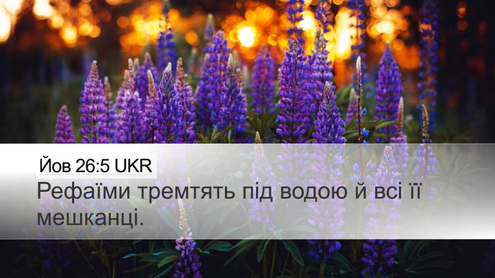 Йов 26:5 UKR Bible Verse Image
