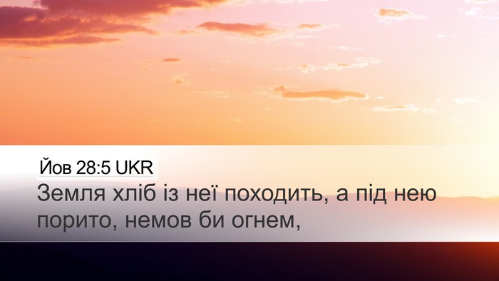Йов 28:5 UKR Bible Verse Image