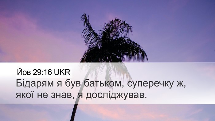 Йов 29:16 UKR Bible Verse Image