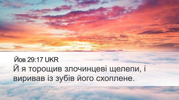 Йов 29:17 UKR Bible Verse Image