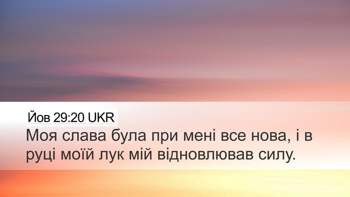 Йов 29:20 UKR Bible Verse Image
