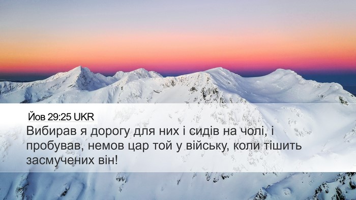 Йов 29:25 UKR Bible Verse Image