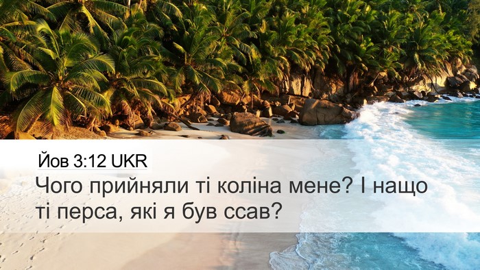 Йов 3:12 UKR Desktop Wallpaper - Чого прийняли ті коліна - Desktop Bible Verse Wallpaper