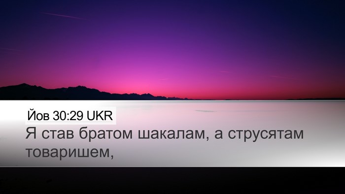 Йов 30:29 UKR Bible Verse Image