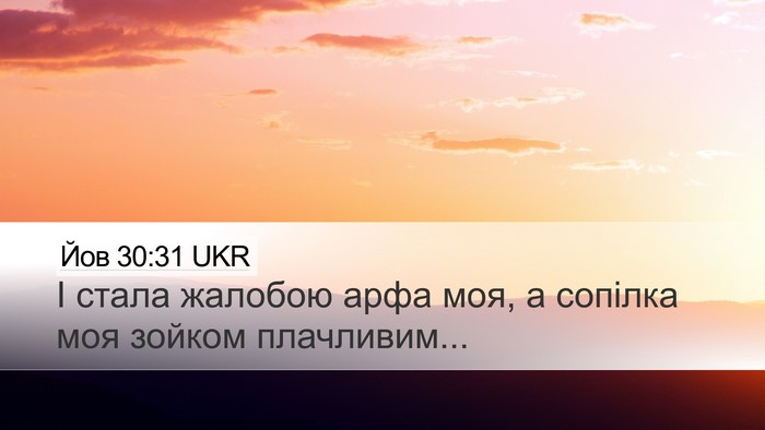 Йов 30:31 UKR Bible Verse Image