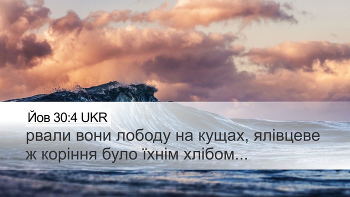 Йов 30:4 UKR Desktop Wallpaper - рвали вони лободу на кущах, - Desktop Bible Verse Wallpaper