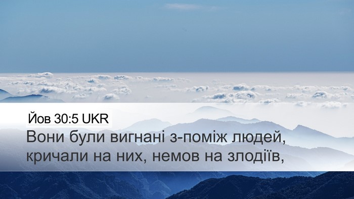 Йов 30:5 UKR Bible Verse Image