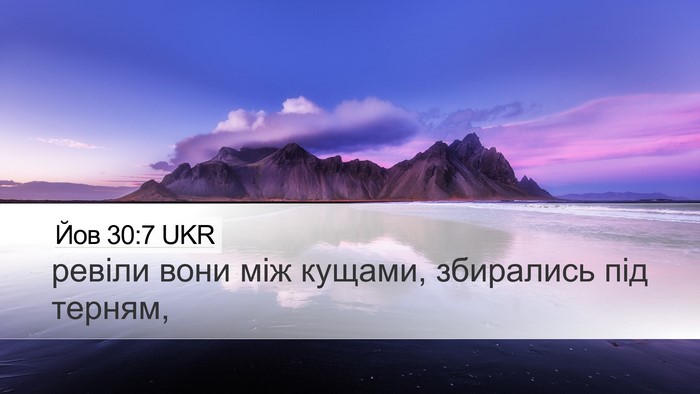 Йов 30:7 UKR Bible Verse Image