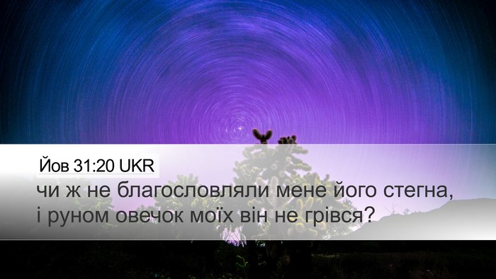 Йов 31:20 UKR Bible Verse Image