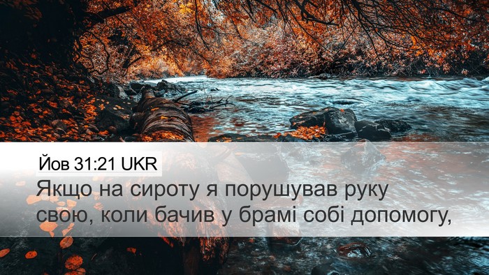 Йов 31:21 UKR Bible Verse Image