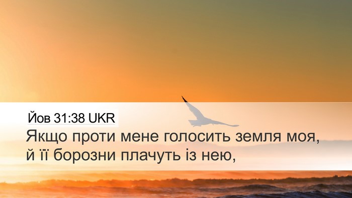 Йов 31:38 UKR Bible Verse Image