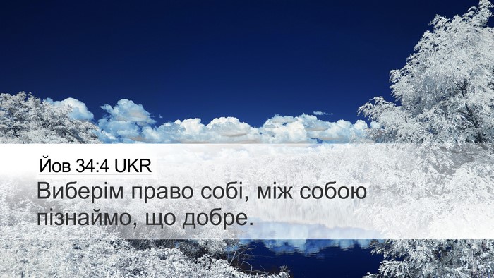 Йов 34:4 UKR Bible Verse Image