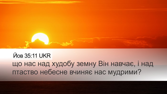 Йов 35:11 UKR Bible Verse Image