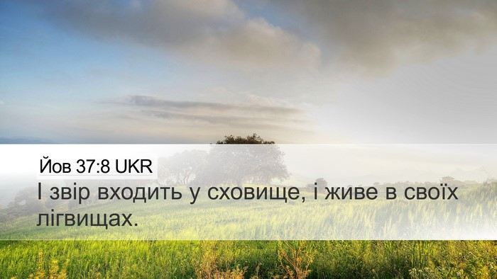 Йов 37:8 UKR Bible Verse Image
