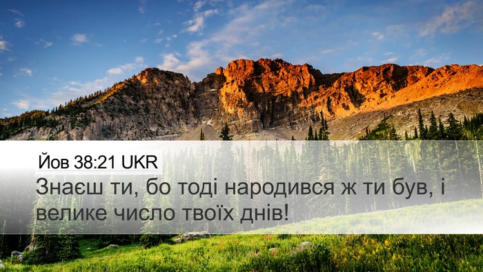 Йов 38:21 UKR Bible Verse Image