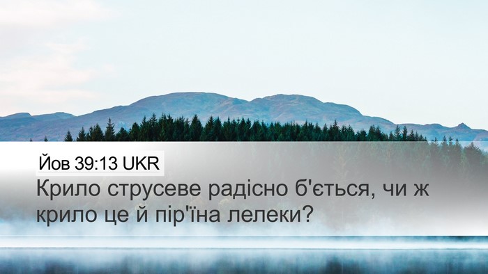 Йов 39:13 UKR Bible Verse Image