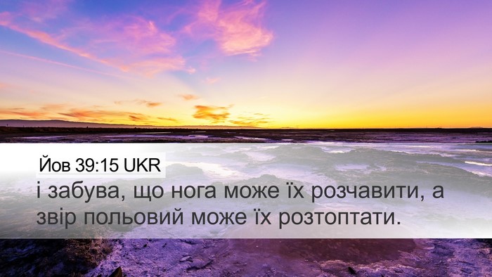 Йов 39:15 UKR Desktop Wallpaper - і забува, що нога може їх - Desktop Bible Verse Wallpaper